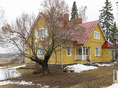 Keltainen talokaunotar Iitin Sääskjärvellä. (Kuva: Kati Pilli-Sihvola.)