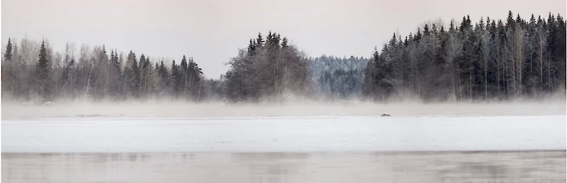 Iittiin laaditun vesistövision tarkoituksena on parantaa alueen vesistöjen ja luonnon tilaa. (Kuva: Kymijoen kuvapankkihanke)