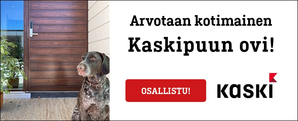 Kaski vko 41